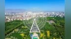 集齐五张“武威元气卡”　召唤身心的黄金免疫力