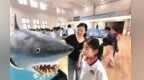 山海情深　“蓝”动陇南