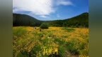 藏在济南佛慧山脚下的夏日限定秘境