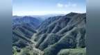 陕西生物多样性保护取得积极成效
