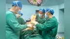 三重病叠加，南医大二附院多学科协作让患者重获行走能力