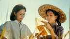 《给阿嬷的情书》，票房超10亿元！
