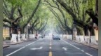 南京蝉联全国城市更新最高评级，这座“A级”城市做对了什么？