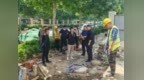 “堵心”变“放心”——槐荫区美里湖街道物业服务提质纪实