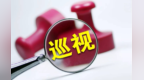 胡昌升在省委中央巡视反馈意见整改落实工作领导小组第四次会议上强调　提高政治站位　强化责任担当　坚决交出高质量巡视整改答卷　任振鹤庄国泰石谋军出席