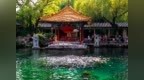 夏日时节，有一种幸福叫畅游山东