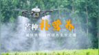 芒种补营养，解锁铁棍山药绿色生长之道