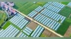 峡江县：“大棚经济”助农增收（图）