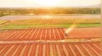 永丰县：盘活良田 富乡野（图）