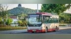 山东各地开通中高考爱心送考专线，乘车信息全汇总