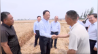 “头等要事”！河南省委书记，到田间地头调研