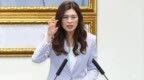 郑丽文横跨五大城访美，谢寒冰乐观力挺：破除绿营鬼扯