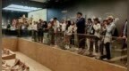 向世界讲述古都故事！“行走河南·读懂中国”入境旅行商踩线活动走进安阳