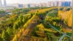 国际安全智库学者考察西安海绵城市建设