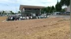 通车一年半，地铁站前15亩“绿化带”变身麦田，事出反常究竟哪里出了问题？