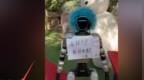 宇树机器人表演中踢倒儿童，景区道歉视频配文：“耐造的来”