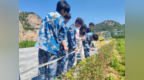 青岛求实职业技术学院建筑工程学院：与崂山相约，淬炼园林匠心