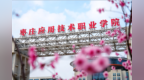 这就是枣庄｜继小龙虾、螺蛳粉后，枣庄辣子鸡喜提专属学院！