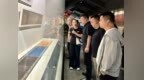 中国画学会、省市美协专家齐聚圣旨博物馆，共话文化合作