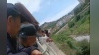 一河滩蛇群出没引围观　官方：有毒，捕获后放归山林