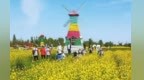 祁连山与油菜花同框　解锁夏日最美CP