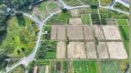 赣州：农旅融合盘活乡土田园