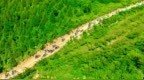 陕西·三原第四届山地自行车邀请赛启程