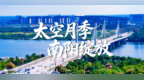 太空月季 南阳绽放