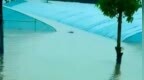 河南周口商水农作物被淹？官方辟谣