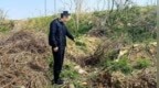 “女子反抗性骚扰被杀害抛尸”案将开庭，嫌犯行凶后想给死者办网贷，还盗卖其金首饰