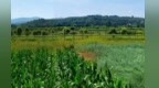 甘肃临洮这座湿地公园　藏着夏日“避暑天花板”