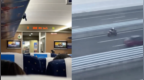 一摩托车在跨海大桥上狂飙，与时速284公里的高铁几乎并驾齐驱，警方回应