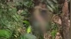 男童深山走失13天，1000多人搜山，最终警犬在距走失地约8公里处找到