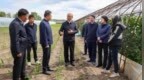 许勤到绥化肇东市调研