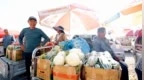 从“错峰开市”到“一分田”，两件民生小事，写就暖心答卷