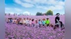 逐浪黄河畔　漫赏铜城花漾风光