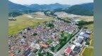 唐代窑址、明代牌坊、清代古庙……都藏在镇海最西面的这个村子里