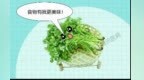 苦瓜香菜……你不爱吃的这几种食物里却藏着宝