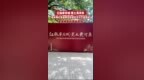红脉牵双城·黑土黄河亲佳木斯红色故事会赴延安文化交流活动 走进杨家岭革命旧址
