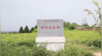 省级文物保护单位郭家庙墓群遭盗掘，三人获刑十年以上