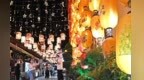 镜头里的甘肃：拔节生长　蓬勃向上