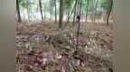 上饶余干县成功办理首例跨县“插花地”不动产登记