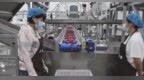 国内首条进口车厘子AI智能分选线在铜川耀州区投产