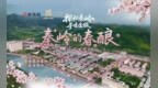 探秘秦岭寻味金徽——秦岭的春酿