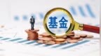 去年赚超40%的微盘基金，今年策略为何失灵？