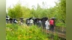 从湿地公园到“矿山咖啡”，多国嘉宾在重庆梁平读懂“生态即人权”
