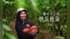 凤凰网探访印尼可可产地，看一块巧克力如何来到手边