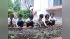 从土地到餐桌 劳动伴成长！ 珠海嘉园幼儿园打造特色食育课程新样板
