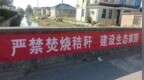 “秸”尽全力防焚烧 守护蓝天伴夏行——亭湖区便仓镇富民社区开展夏季秸秆禁烧专项行动