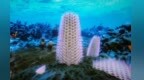 西北大学团队在陕西发现珍稀化石